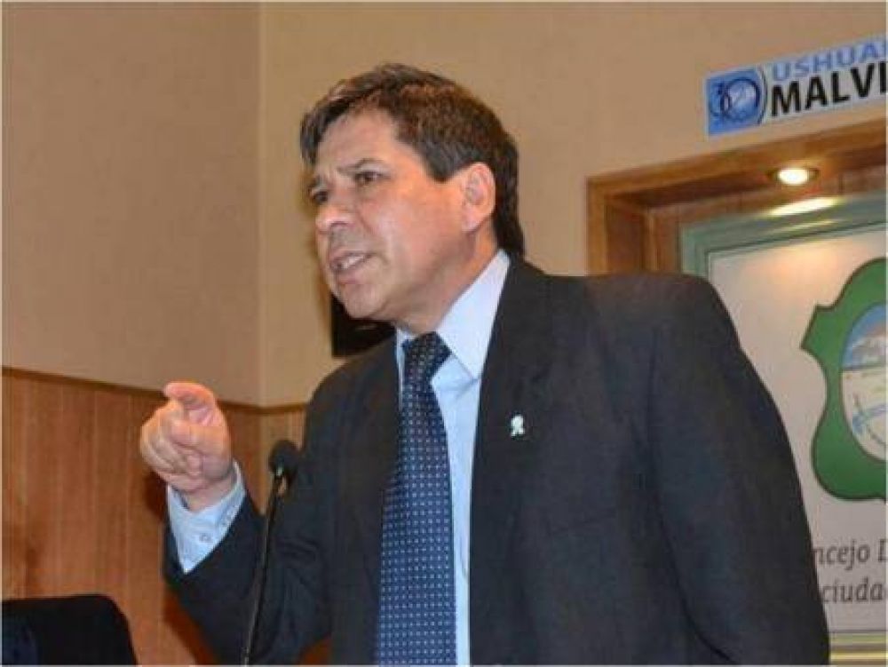 �No es que estamos hipotecando al Estado de por vida�, sostuvo Pino