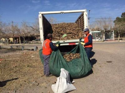 S�lo en un mes sacaron 20 toneladas de basura de la Circunvalaci�n