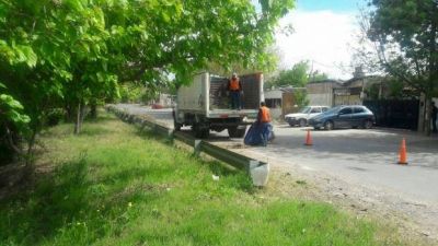 Sacaron m�s de 20 toneladas de basura de la avenida Circunvalaci�n