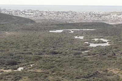 Una importante p�rdida del acueducto que nadie ve