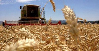 La Pampa export� 241 millones de d�lares en el primer semestre
