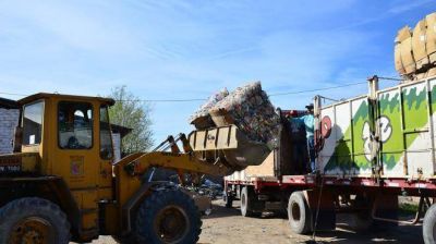 Regina y su apuesta por el reciclado
