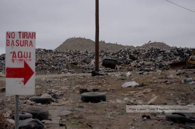 Proponen la creaci�n de un Ente Municipal de Residuos Urbanos