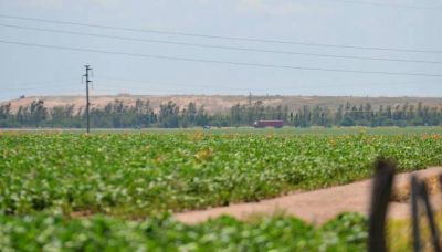 Se despeja el futuro de la basura con la expropiaci�n del predio en marcha