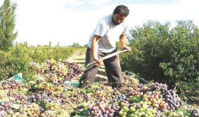 La vitivinicultura genera 35 veces m�s empleo que la soja
