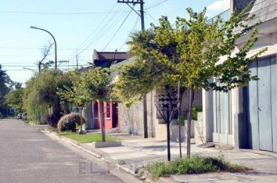 Comenz� la plantaci�n de �rboles en distintos barrios de la ciudad