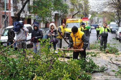 Ca�da de �rboles, postes y carteles por el fuerte viento en la Ciudad de Buenos Aires