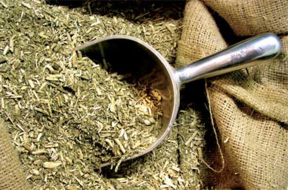 Crecen las importaciones de yerba mate proveniente de Brasil