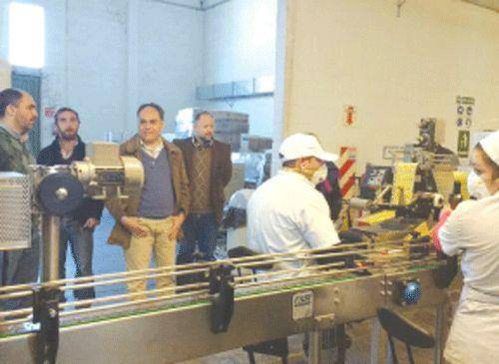 El Gobierno lanza este jueves el Cl�ster Oliv�cola Riojano