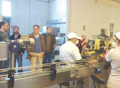 El Gobierno lanza este jueves el Cl�ster Oliv�cola Riojano
