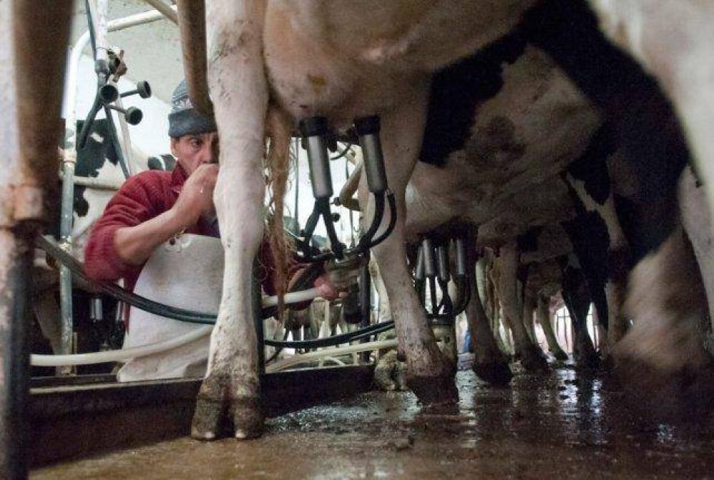 Tamberos mendocinos buscan ayuda para vender el sachet a $12