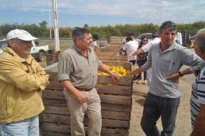Titular de la Federaci�n del Citrus: 