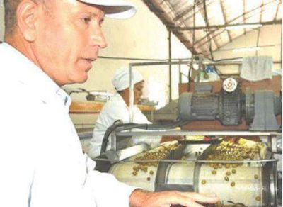 El cl�ster oliv�cola genera expectativas en CIOLAR