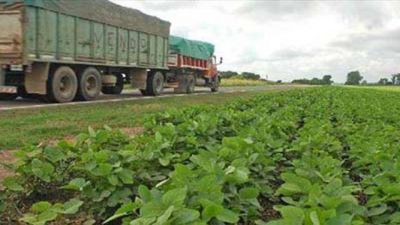 Roller: �Las banquinas se dejaron de sembrar por revanchismo pol�tico�