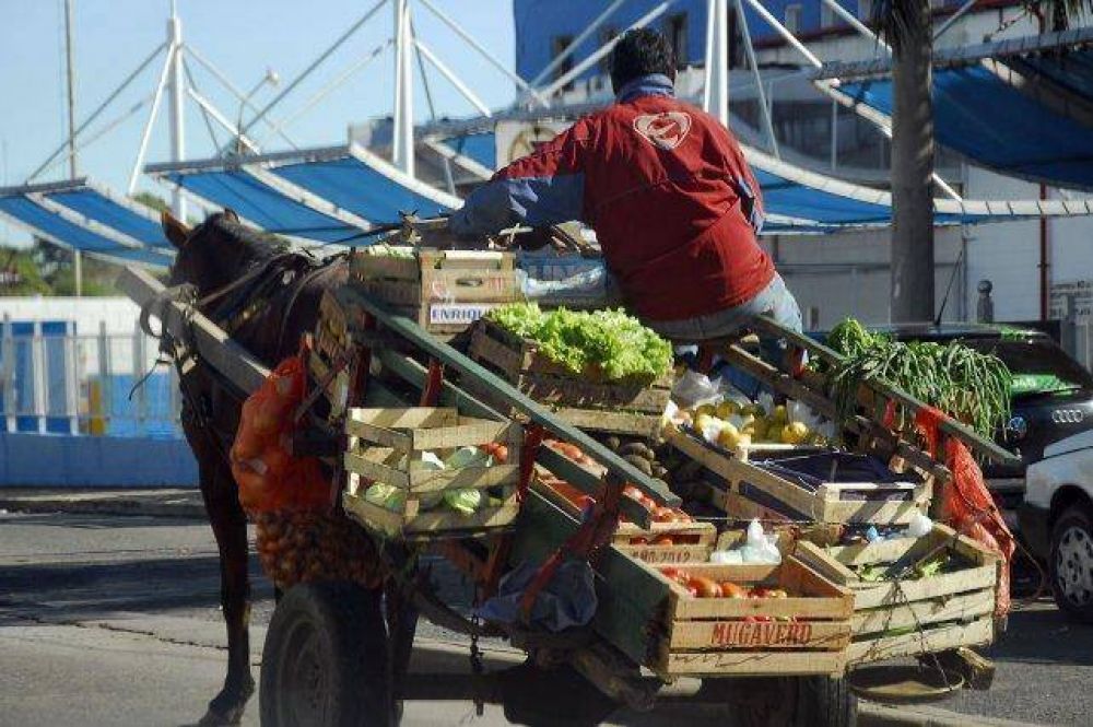 Funcionaria municipal confirm� que no pueden afrontar el cambio de carros por motos