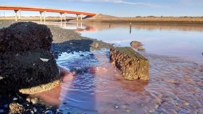 Provincia intim� a una pesquera por el volcado de l�quidos al r�o Chubut que divulg� Jornada