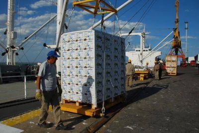 Cae 8 por ciento el monto de las exportaciones de la Provincia