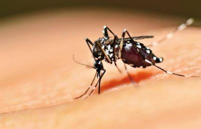 Instan a vecinos a trabajar en la prevenci�n y lucha contra el dengue y zika