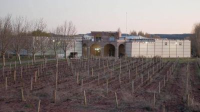 Tres bodegas abandonadas buscan inversores para volver a producir
