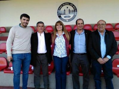 Galli: 