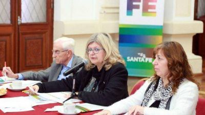 Balagu� asegur� que es posible verificar las irregularidades en las licencias m�dicas docentes