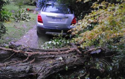 Cuantiosos da�os provoca el viento y la lluvia que sacude a Mar del Plata