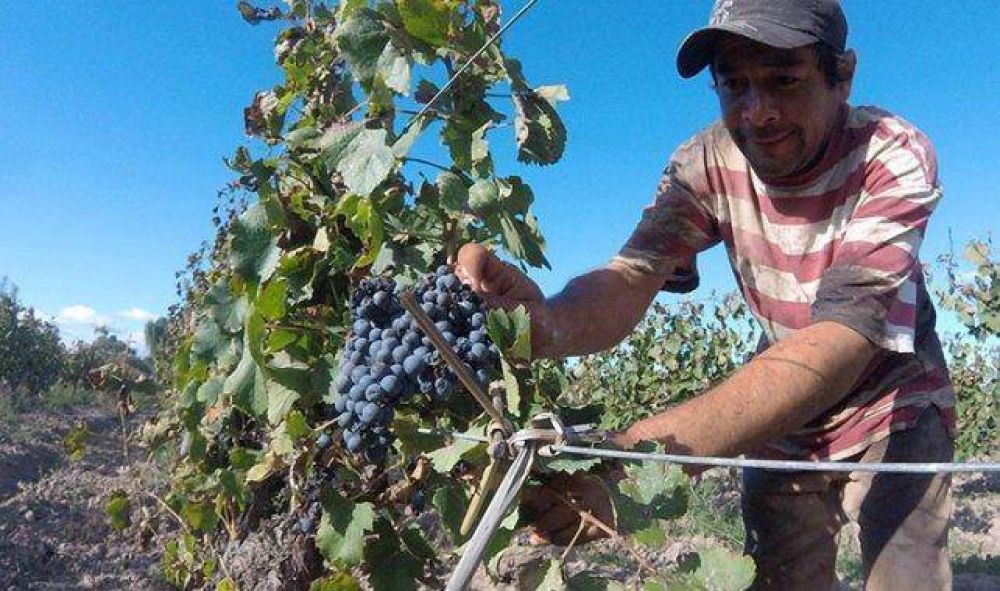 Cuestionaron las medidas de ayuda a los vitivinicultores