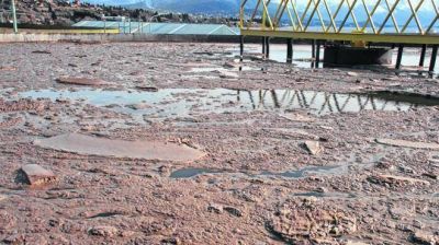 Red cloacal: radiograf�a de un sistema en crisis