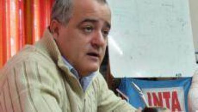 La prohibici�n de las bolsas de pl�stico �atenta contra el trabajo de 900 familias