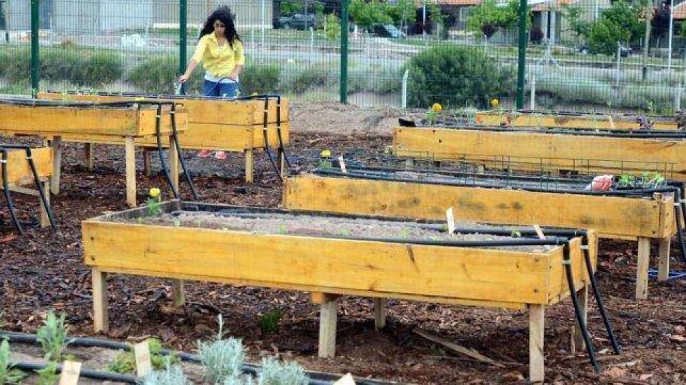 Recolectan botellas para construir un invernadero ecol�gico