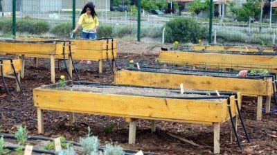 Recolectan botellas para construir un invernadero ecol�gico