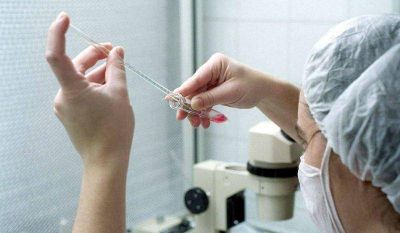 Municipales porte�os tendr�n licencia por fertilidad asistida