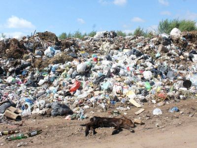 El OPDS se encargar� de tapar y sanear el basural a cielo abierto