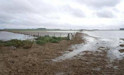 Se declar� estado de �emergencia y desastre agropecuario� en Salta