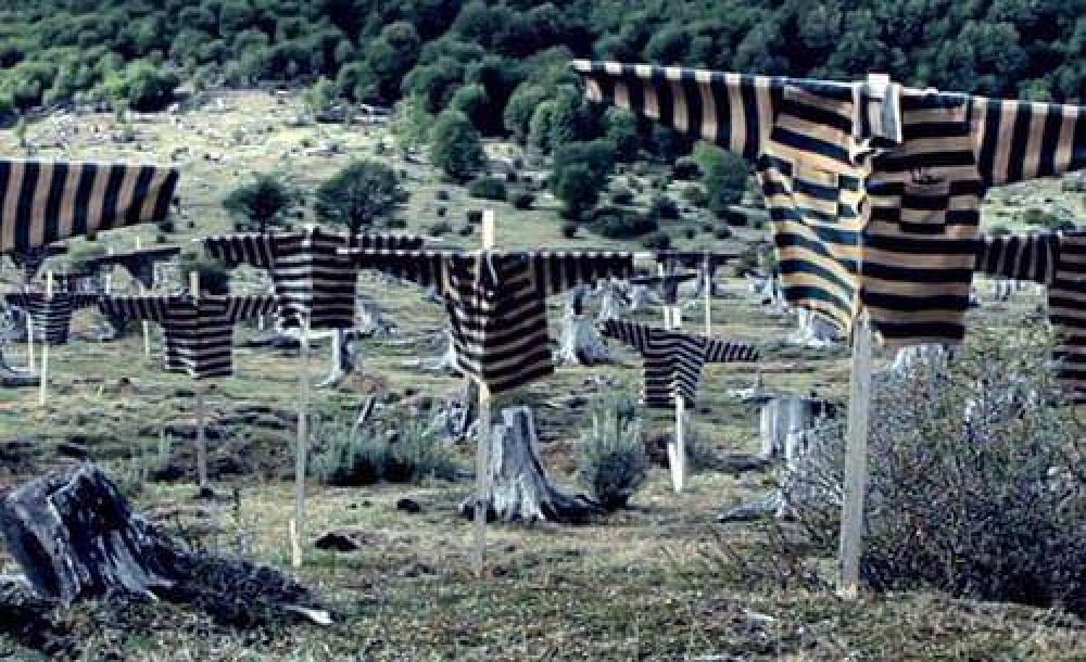 Ciclo de Cine Pol�tico Documental: proyectar�n 