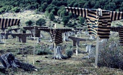 Ciclo de Cine Pol�tico Documental: proyectar�n 