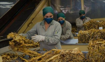 La Coprotab niega despidos y reorganiza las tareas en la planta