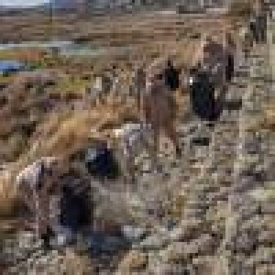 El Calafate se sum� al D�a Internacional de Limpieza de Costas