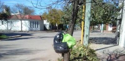 Gesti�n de residuos s�lidos urbanos en San Justo