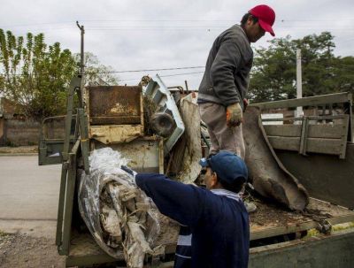 Comenz� la lucha contra el dengue