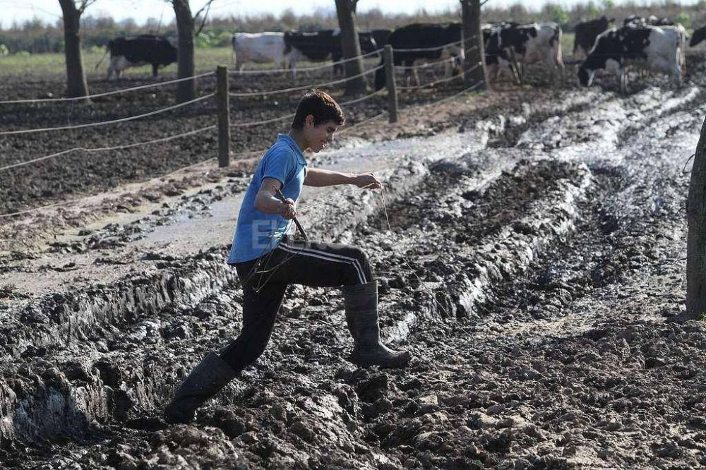La provincia trabaja en la recuperaci�n de caminos para el sector lechero