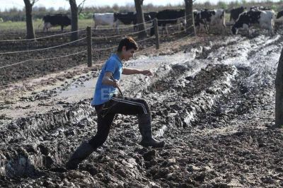 La provincia trabaja en la recuperaci�n de caminos para el sector lechero