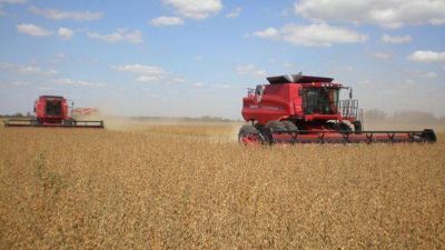 La mitad de la producci�n agraria entrerriana es soja