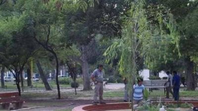 Realizan trabajos de arbolado en los barrios de la Capital