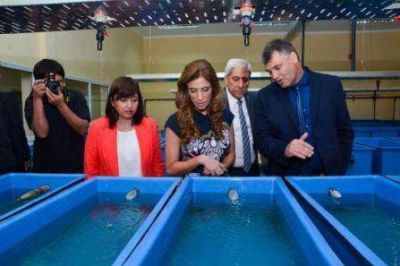 Centro de Investigaci�n y desarrollo de Hidrobiolog�a