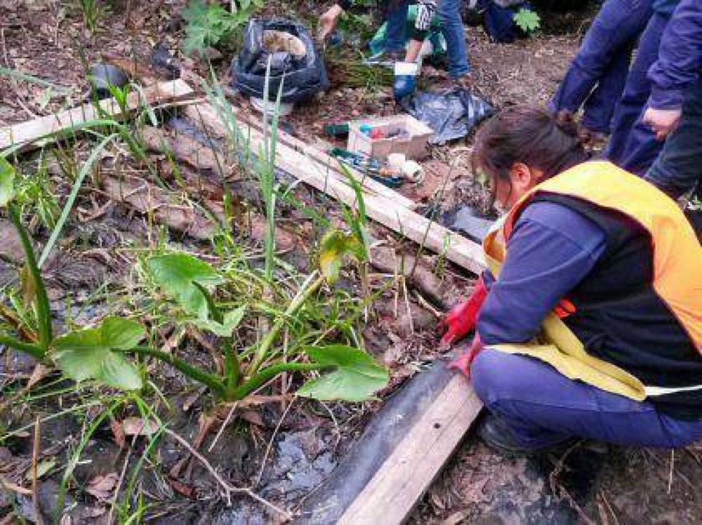 Saneamiento ambiental para el Arroyo Ortega