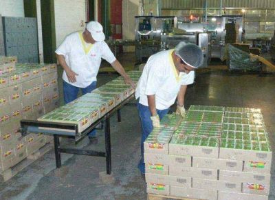 ALCO suspendi� a 600 empleados en Mendoza y quiere un cr�dito