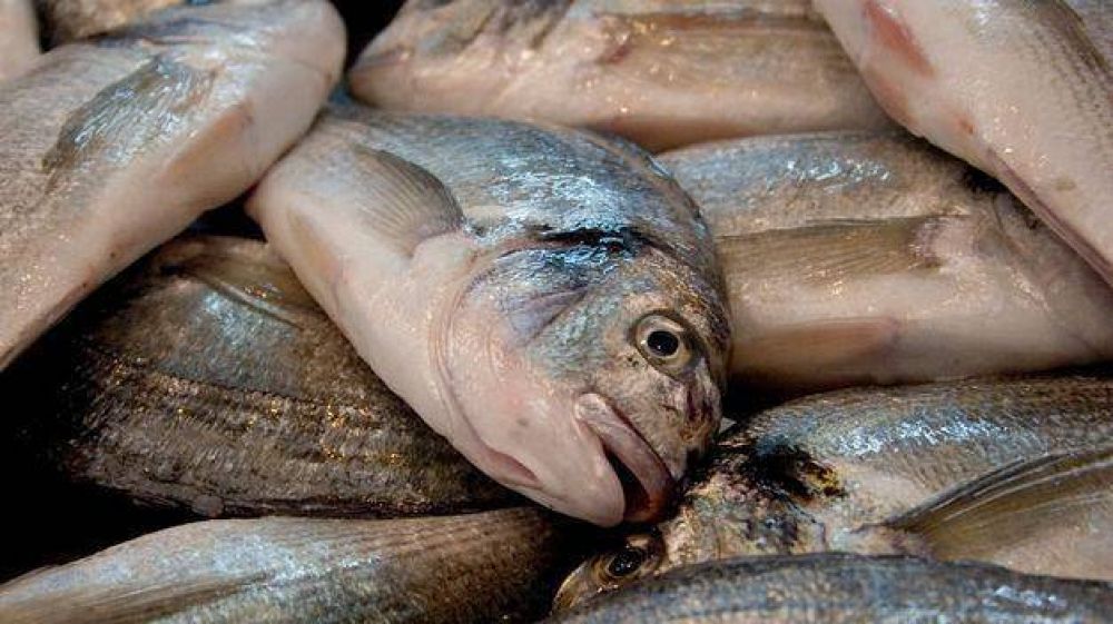 El mi�rcoles, como protesta, regalar�n pescado en el Puerto