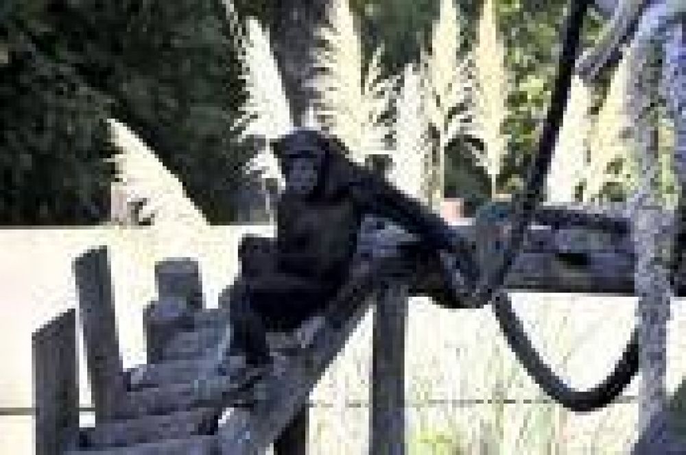 La Plata: Presentaron ante la comisi�n de medio ambiente el proyecto para transformar el Zool�gico en un bioparque