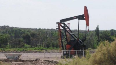 Petr�leo: preocupa la deuda ambiental con Mendoza